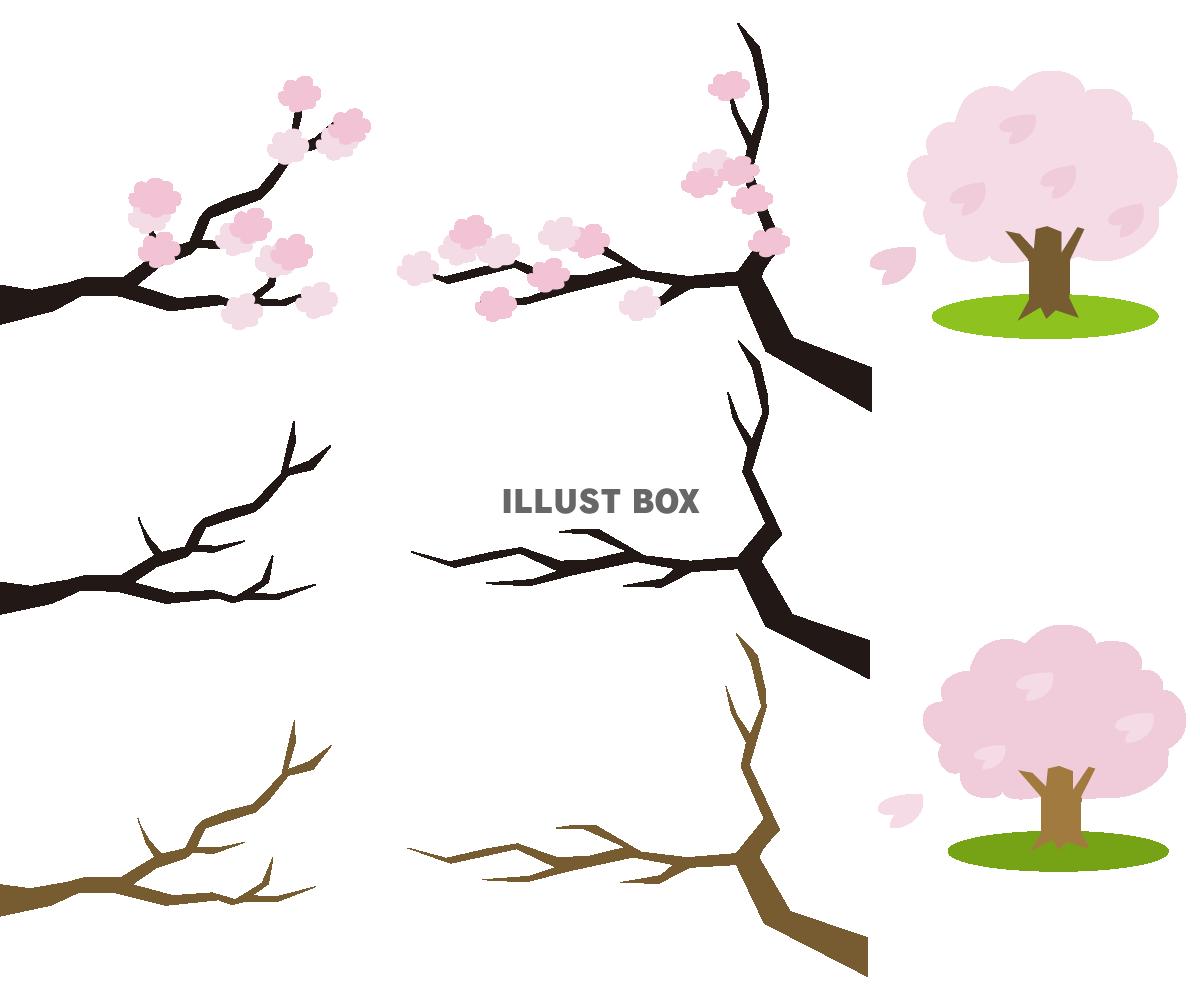 桜ワンポイントセット