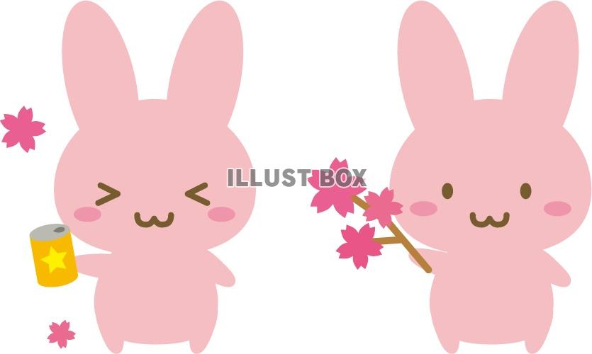 花見うさぎ