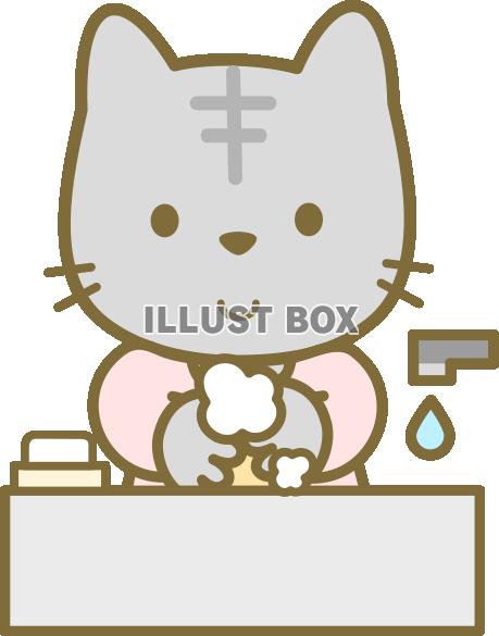 手を洗っているにゃんこ（透過PNG)