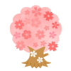 桜の花の木　透過png
