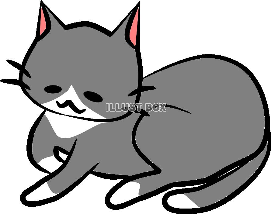 グレー白にゃんこさんちょっと香箱座り【PNG】