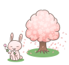 花見うさぎ