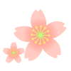 桜２つイラスト　透過png