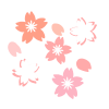 桜の花イラスト　透過png