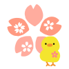 ひよこと桜イラスト　透過png