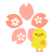 ひよこと桜イラスト　透過png