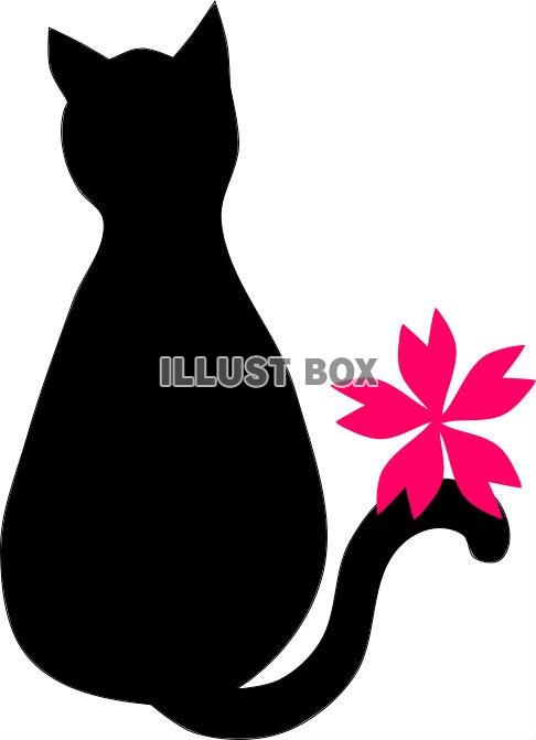 無料イラスト 黒猫さんと桜