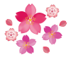 桜の花のイラスト