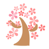 桜の木　透過png