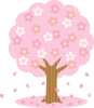 桜が満開のイラスト