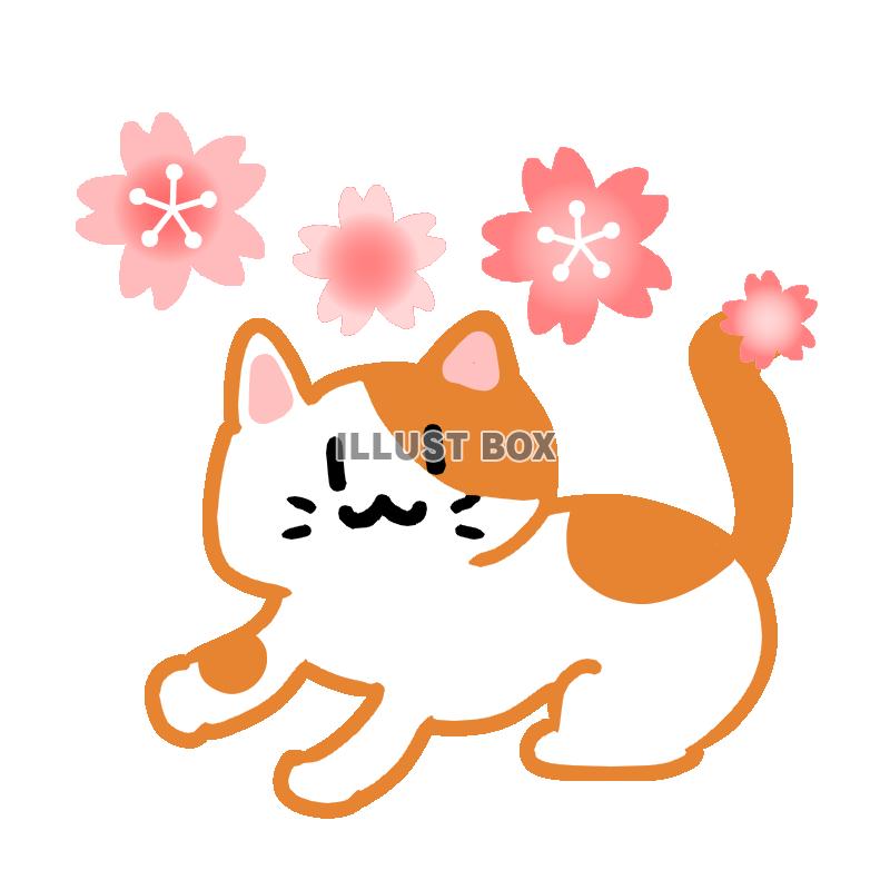 桜とにゃんこ　透過png