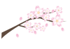 桜の木