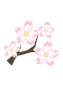 桜の木A