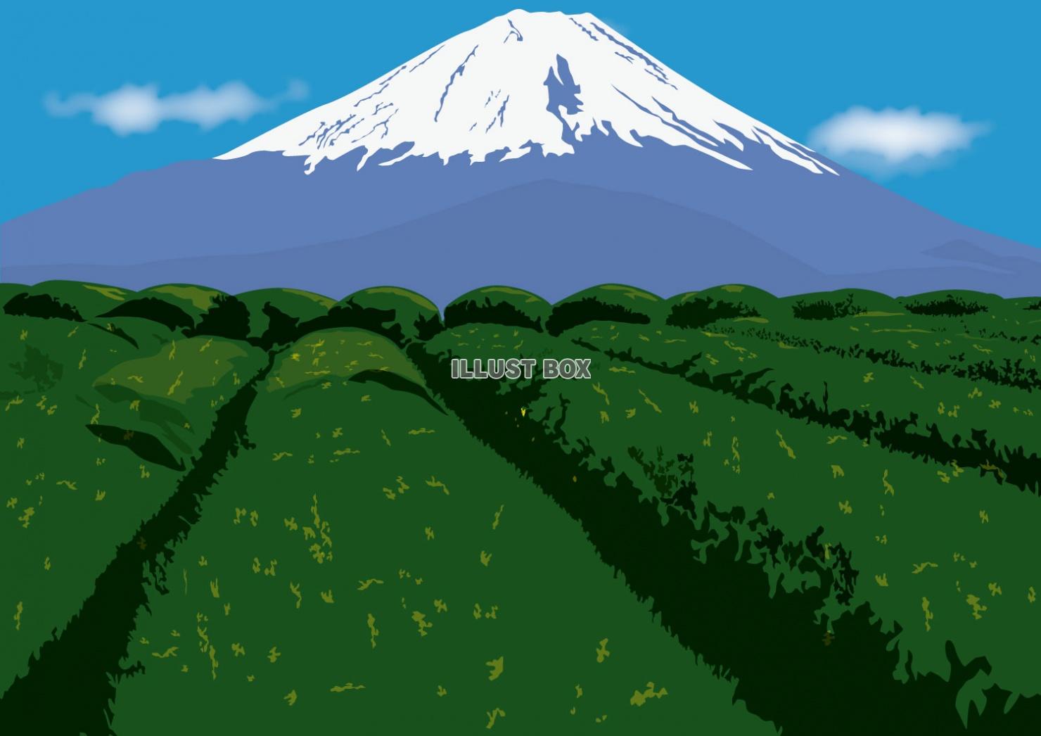 無料イラスト 富士山と茶畑