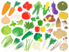 野菜のイラストセット