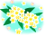 プルメリア