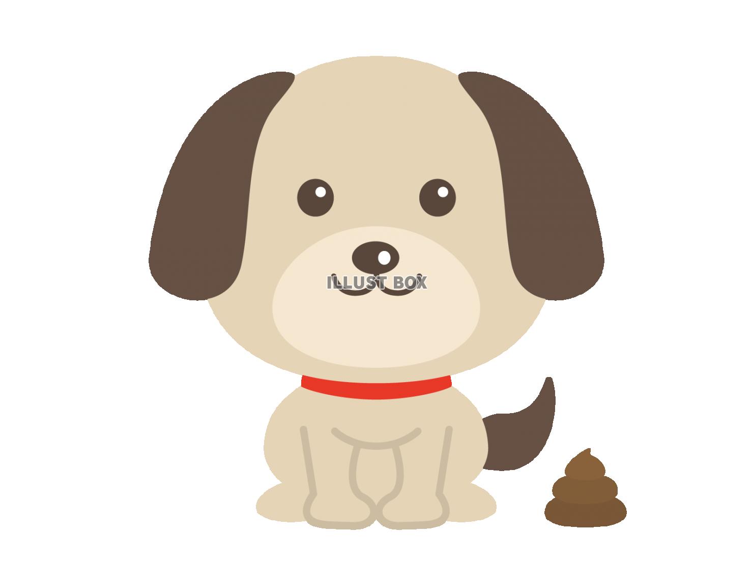 犬