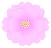 八重桜一輪（薄い色）