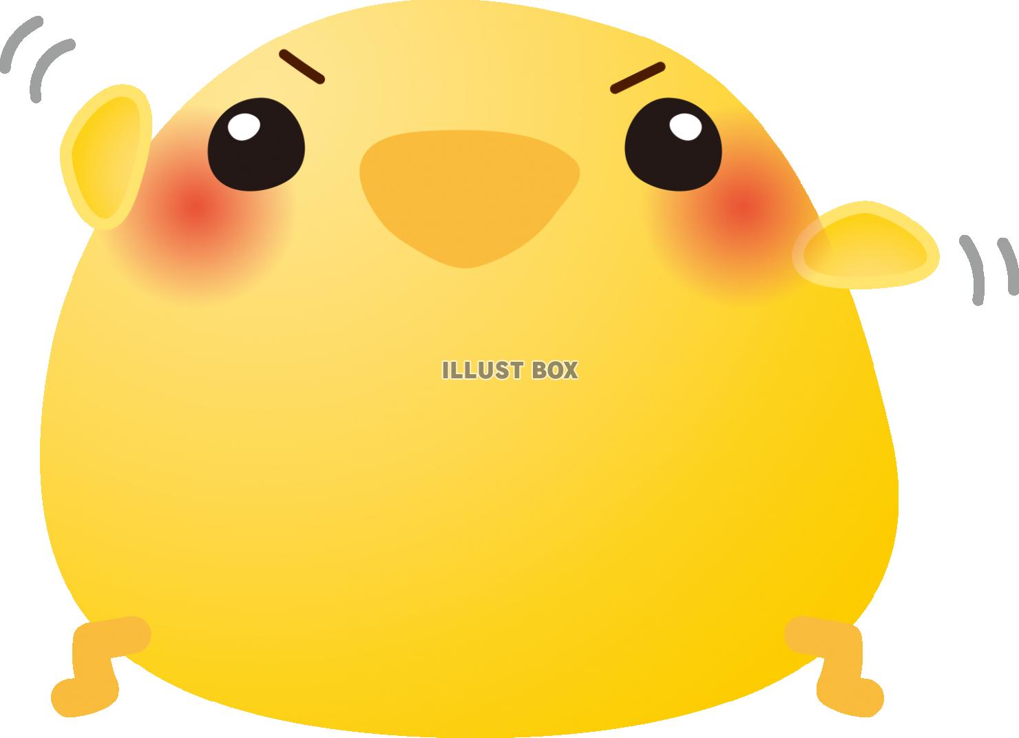 ひよこストレッチ01