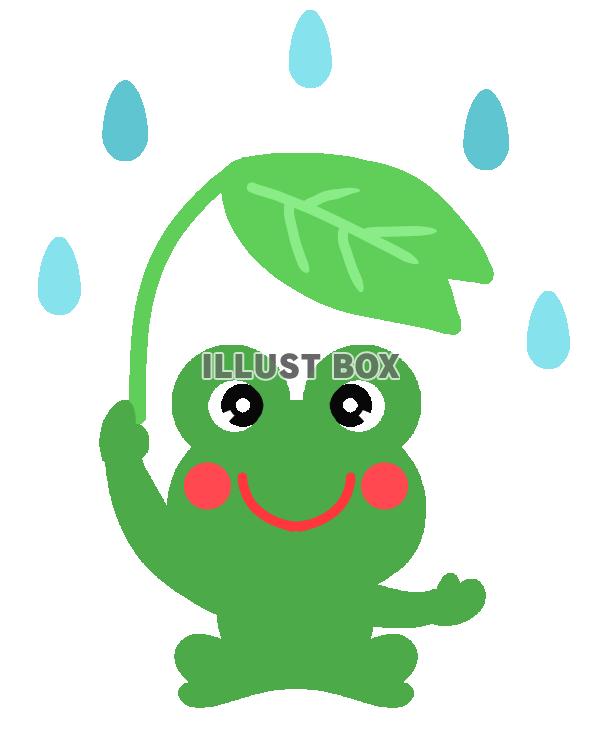 かえると雨　透過png