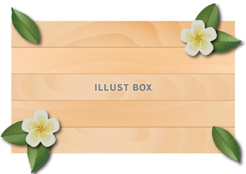 プルメリアの花の看板 イラスト無料