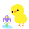 ひよこと菖蒲　透過png