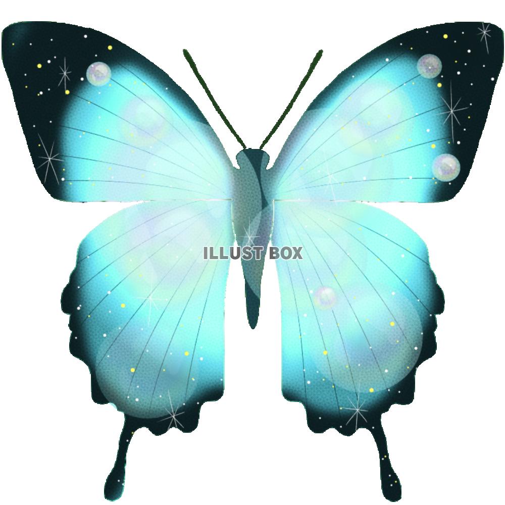 50 素晴らしいかわいい 幻想 的 蝶 イラスト 最高の動物画像