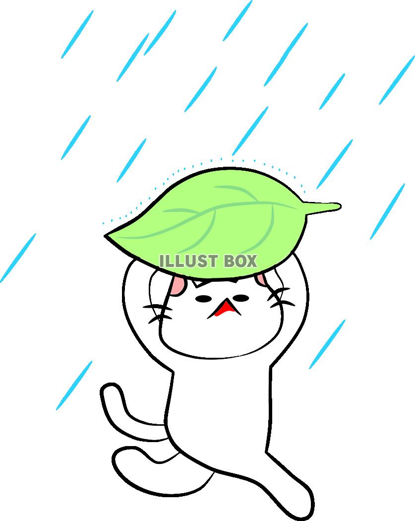 にゃんこさんと雨と葉っぱ