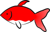 金魚さん