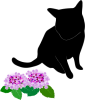 にゃんこと紫陽花【PNG】