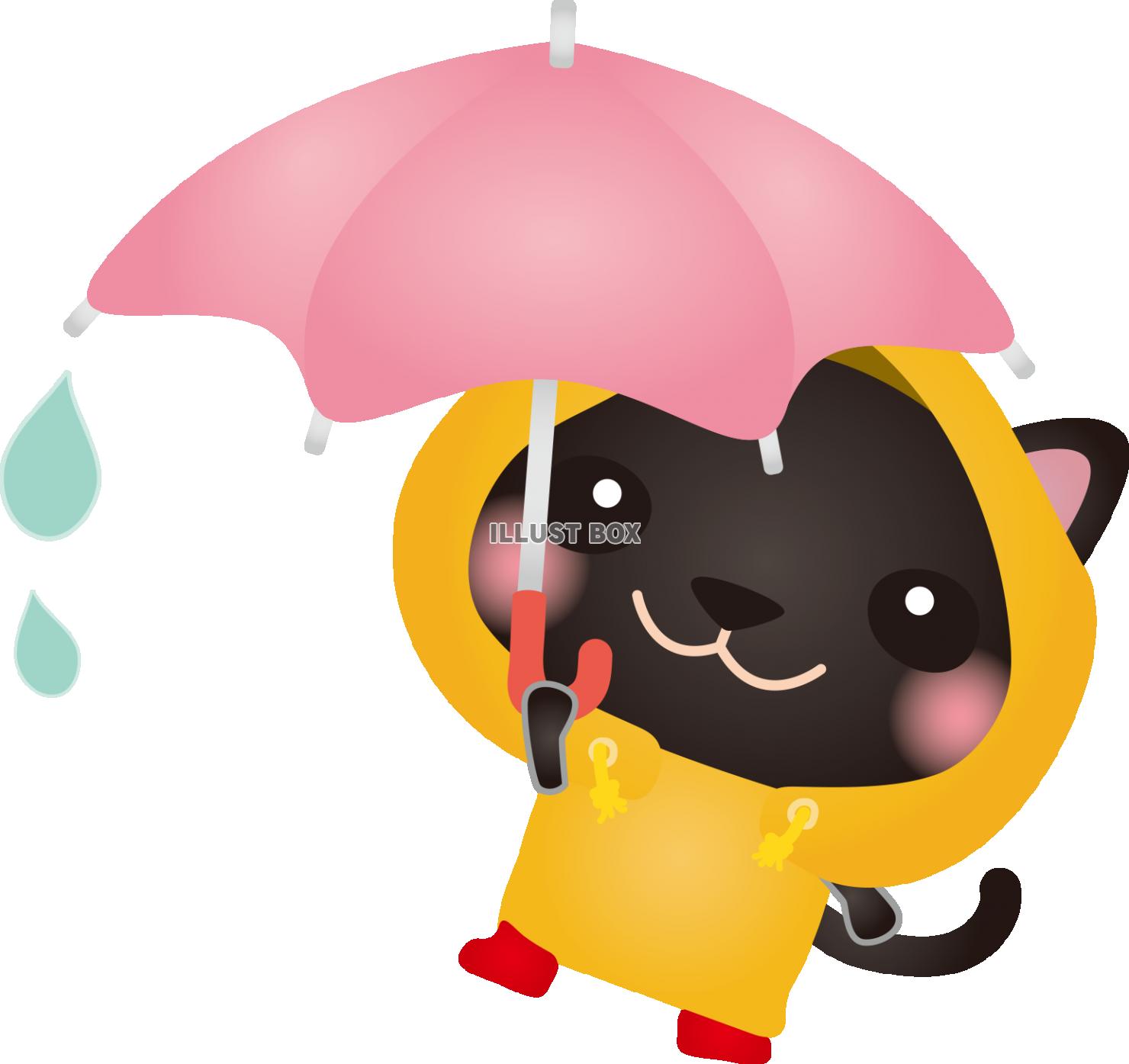 雨の日黒ねこ