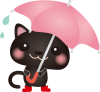 雨の日黒ねこ