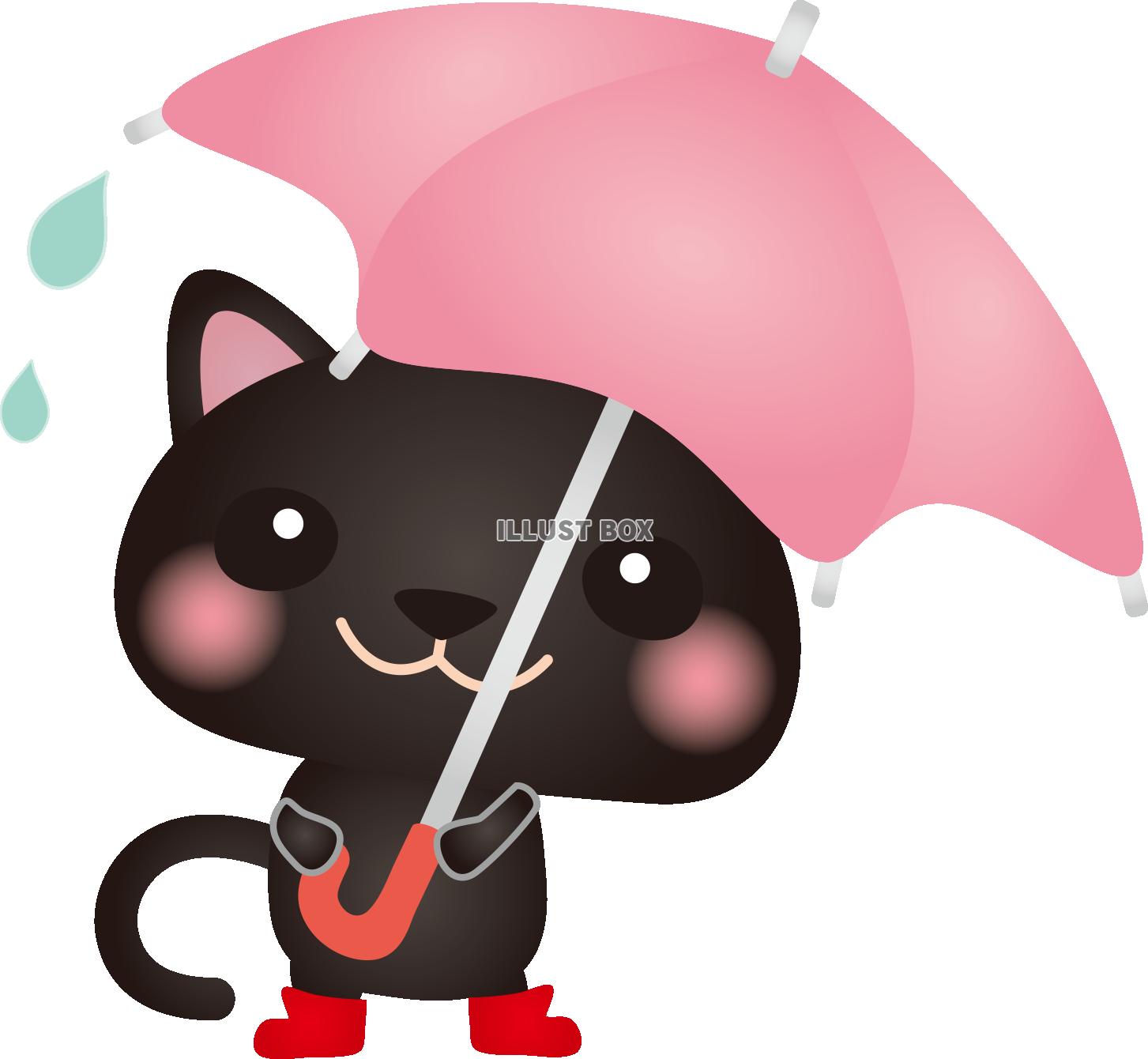 SALE／79%OFF】 雨の夜の黒猫さん イラスト