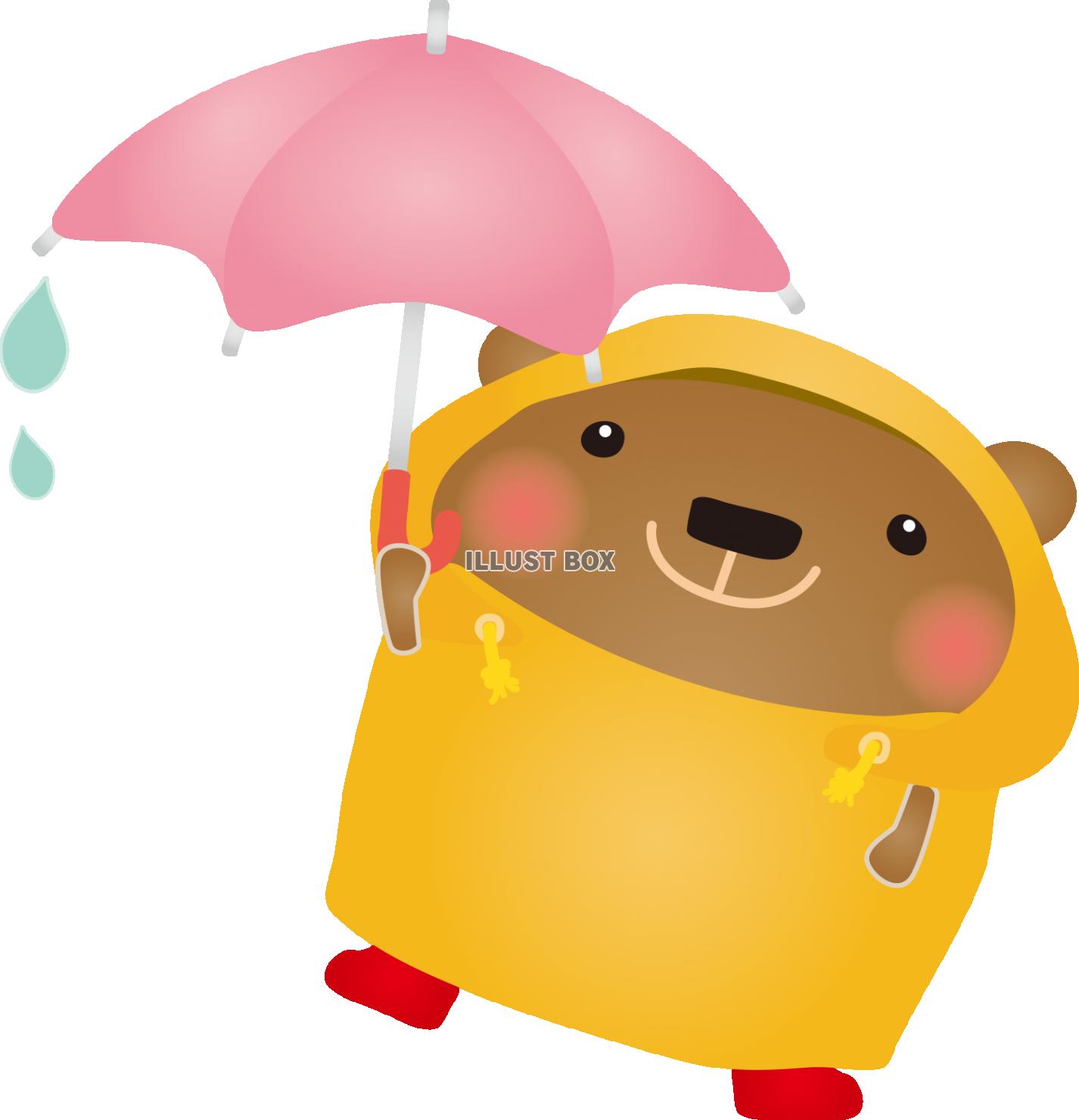 雨の日くま