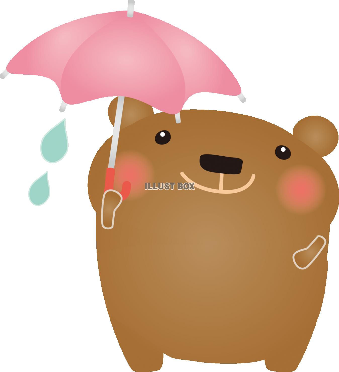 雨の日くま2