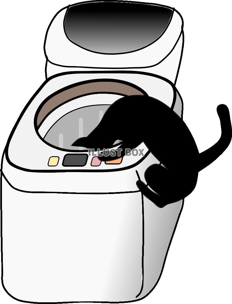 にゃんこさん洗濯機を覗きこみ【PNG】