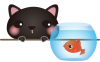 金魚と一緒黒ねこ