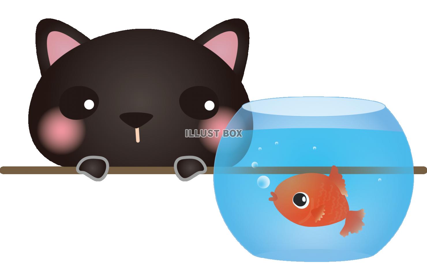 金魚と一緒黒ねこ