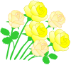 黄色いバラ（文字なし）