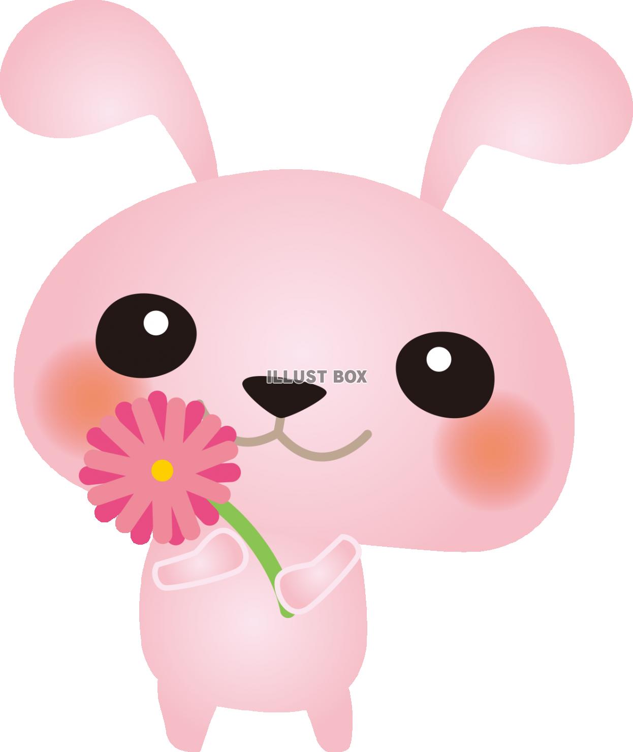 うさぎピンクの花