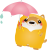 柴犬雨の日