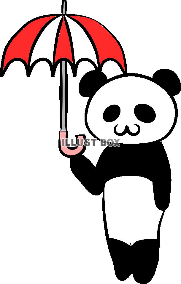 パンダさんと傘【PNG】