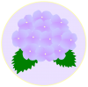 紫陽花（紫色の枠）