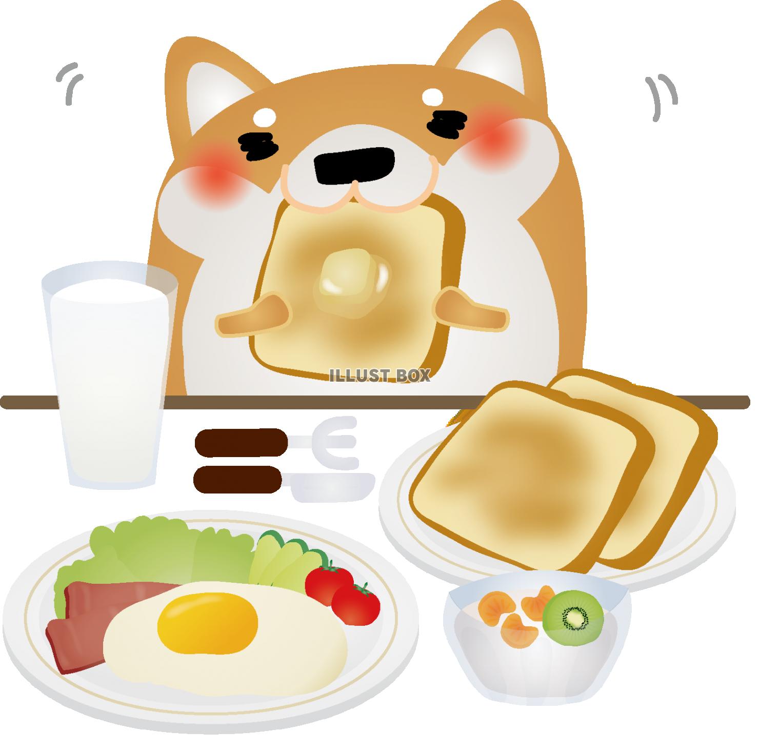 柴犬用朝食