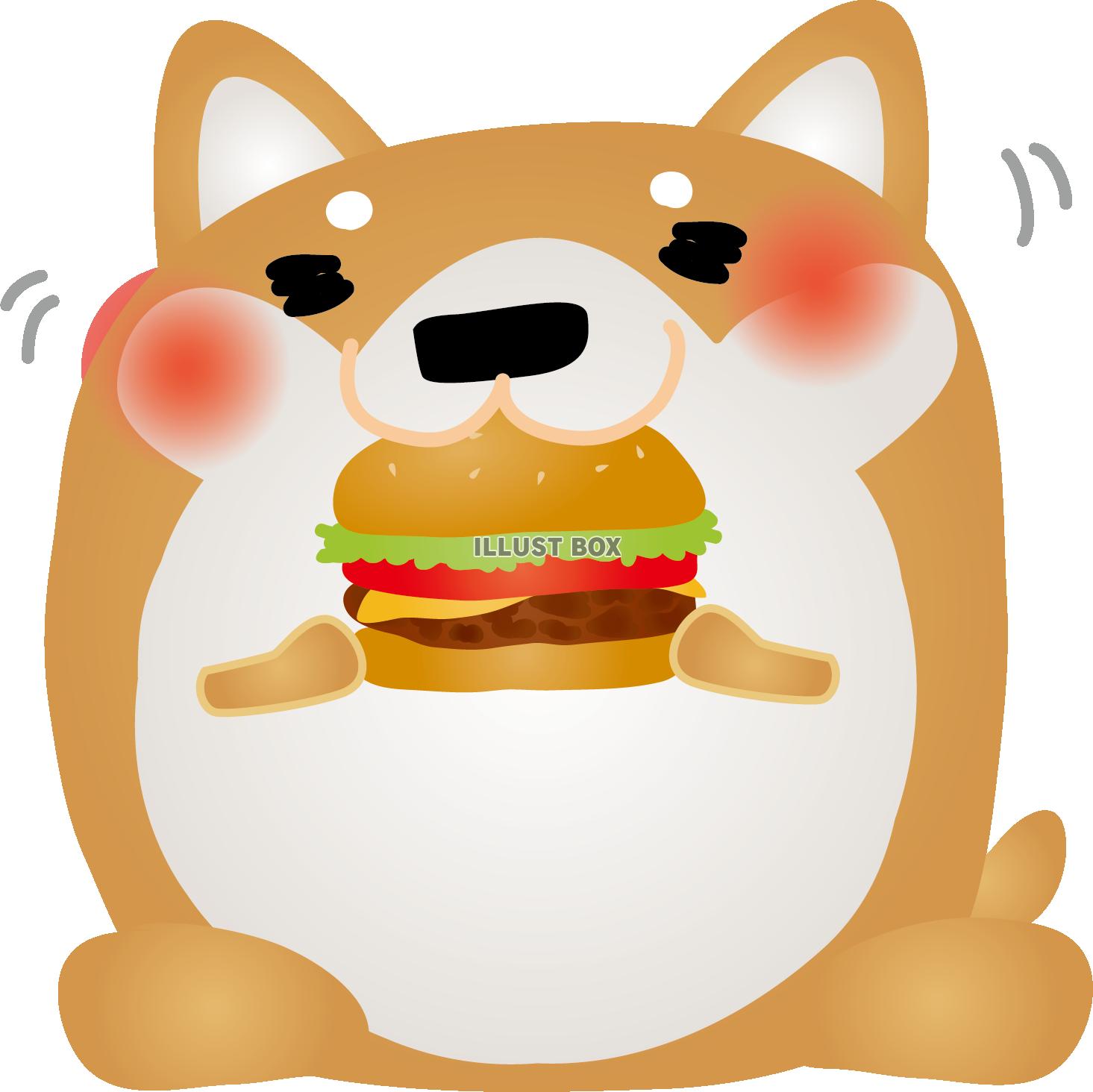 柴犬ハンバーガー