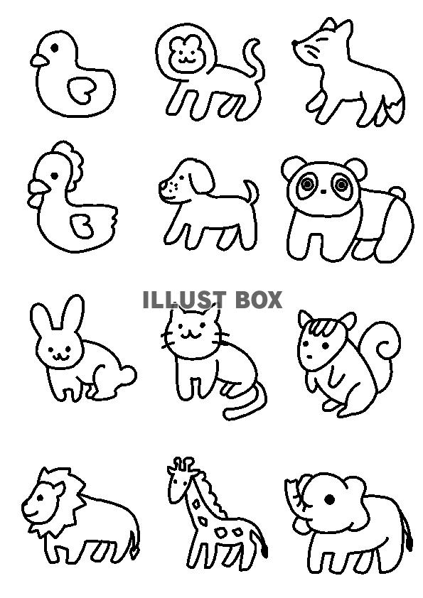 塗り絵 動物 かわいい 無料