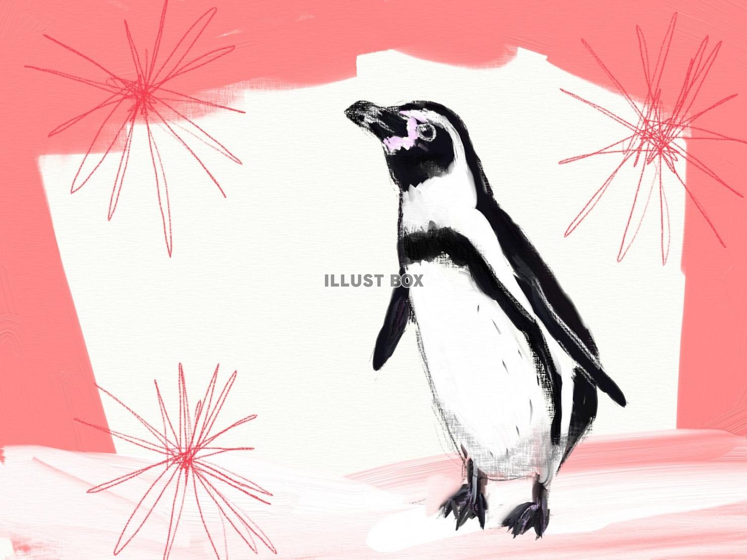 無料イラスト フンボルトペンギンのフレーム