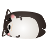 黒柴ごろごろ