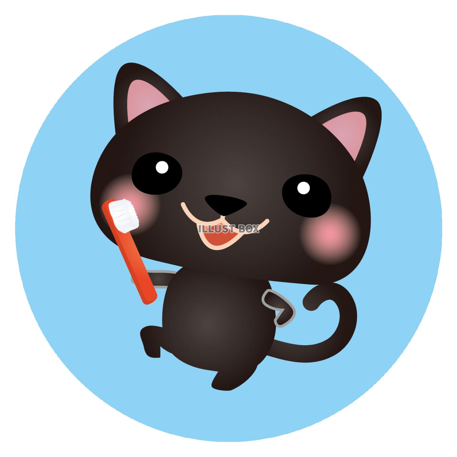 黒ねこハミガキ