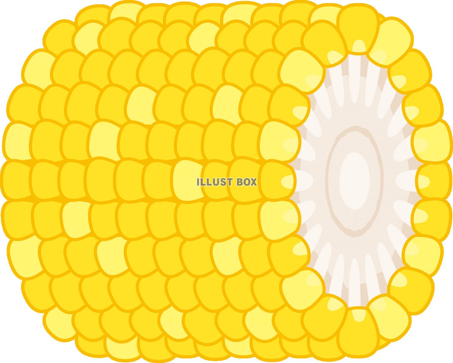とうもろこし イラスト無料